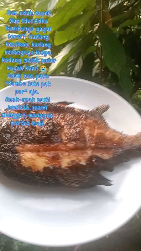 bumbu sate anti gagal #gratisongkir #DiskonShopeeVideo #kondangan #bumbuSatePakPur #bumbu #bumbusate #satekambing #bumbumarinasi