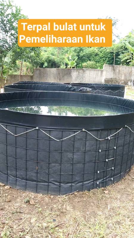 Terpal bulat untuk kolam pemeliharaan ikan #racunbelanja #GaNyeselBeliIni #spillracunshoppee #Diskon50Persen #Cashback40Persen #racunshopeee