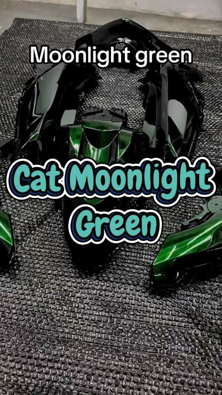Cocok Yang suka Warna Hijau Tapi Gelap bikin Cakep deh body motor kalian#GakNyeselBeliIni #tutupolivariasi #RacunShopee #BadaiTapiBudget #catmotor