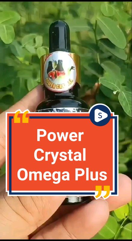 Power Crystal Omega Plus #RacunShopee #ShopeeCOD #SpillBawaBerkah #powercrystalomegaplus #powercrystal #vitaminburungkicau #vitaminburung #kicaumania