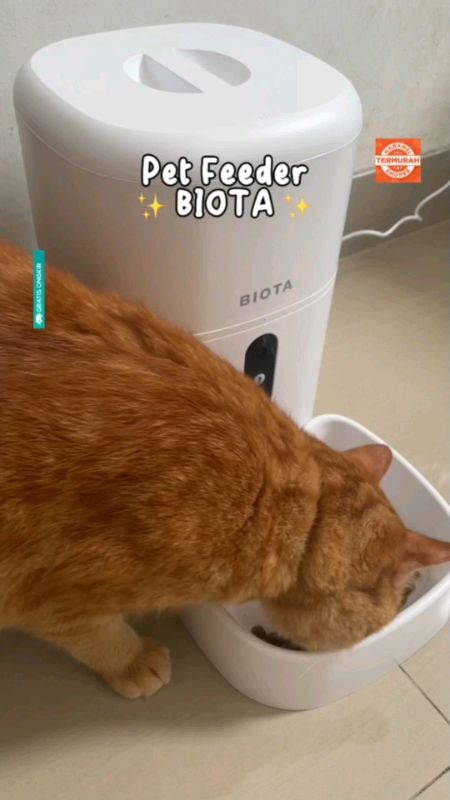😻✨ #GakNyeselBeliIni #ViralDiShopeeVideo #PromoNonStop #PeliharaanTergemas #smartpetfeeder #petfeeder #kucinglucu #anabul #pecintakucing #kucingoren