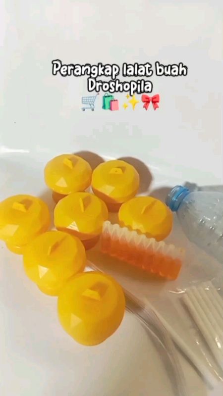#RacunShopee #RacunShopeeCheck #SpillBawaBerkah #BadaiTapiBudget #ViralDiShopeeVideo #DiskonRacunShopee #perangkaplalatbuah #droshopila