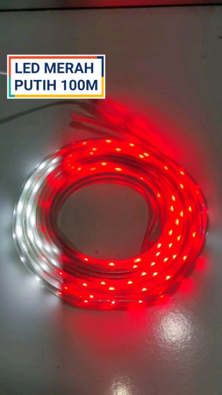 #led #lampu #ledstrip #ledlights #lampumerahputih #hutri #lampuledmurah #lampuaesthetic #racunshopeee #fyp #fypシ #lampukedip #DiskonRacunShopee