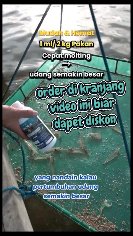 Udang lama molting? MaxiMolt solusinya! Cepat, efektif, dan hemat! #bluecore #tambak #tambakudang #vaname #shopeevideo #ViralDiShopeeVideo #ShopeeCOD