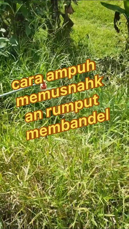 #herbisidakrestara #krestara135sl #sangatampuh#krestra135sl#herbisida #