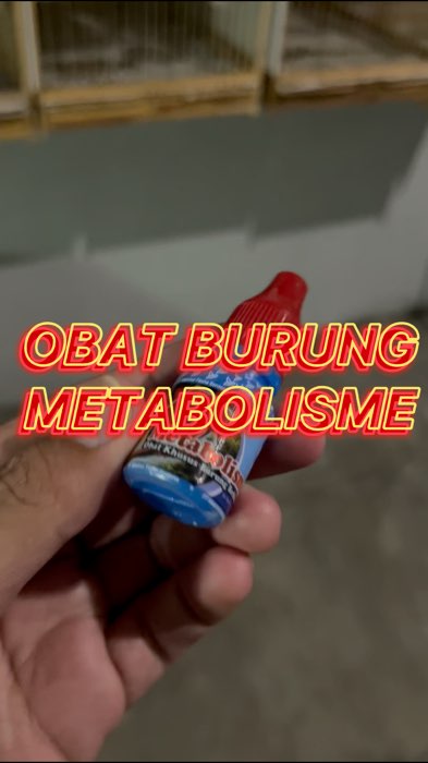Obat burung metabolisme #shopeevideo #ViralDiShopeeVideo #GratisOngkirRP0 #ShopeeCOD #SpillRacunShopee #PromoNonStop