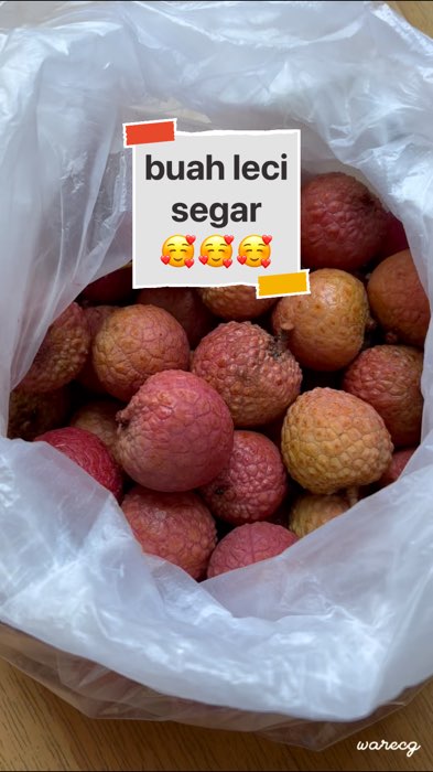 buah leci segar 🥰🥰🥰 #leci #buahleci #buahlecisegar #buahlecimadu #buahlecifresh #buahlecimanis #Lecisegar #lecimanis #lecimadu #lecimadumerah