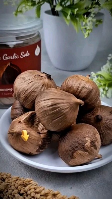 HSD BLACK GARLIC SOLO BAWANG HITAM MENGOBATI BERBAGAI MACAM PENYAKIT#garlic#blackgarlic #blackgarlicpremium #blackgarlictunggal #blackgarlicjoss #fyp