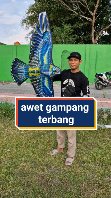 Layangan Burung Elang Lipat kain #layangan #layanganlipat #layanganburung #layangankain #SpillRacunShopee #SpillBawaBerkah #RacunShopee #ShopeeCOD
