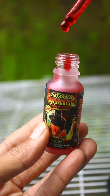 new metabolis power crystal #ViralDiShopeeVideo #RacunShopee #ragamkicau #vitaminburung #ShopeeCOD #PromoNonStop