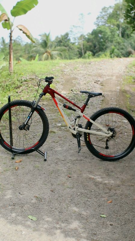 Siskiu D5 Polygon