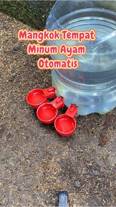 Mangkok Tempat Minum Ayam Otomatis #tempatminumayam #mangkokminumayam #beternakayam