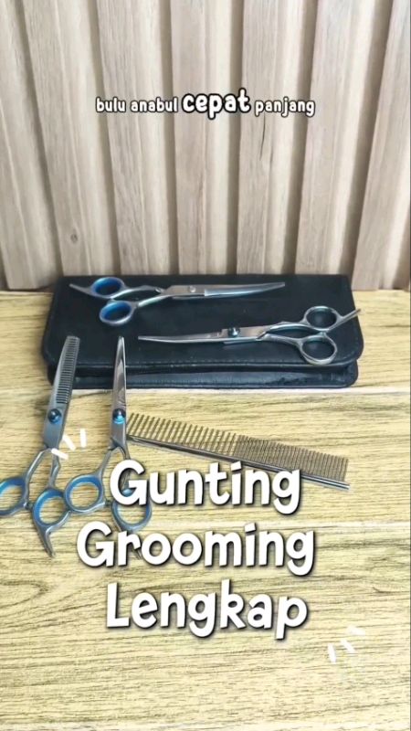 #guntinggrooming #guntinggroominganjing #guntinggroomingset #guntinggroomingkucing #guntinggroominganabul