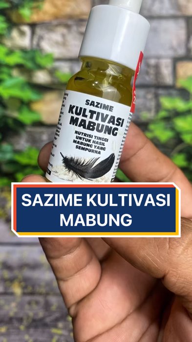Sazime kultivasi mabung #RacunShopeeCheck #PromoNonStop #ViralDiShopeeVideo #RacunShopee #GakNyeselBeliIni #GratisOngkirRP0 #ShopeeCOD #sazime #mabung