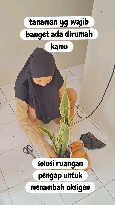 sudah dapat satu set lengkap #1212shopeehaul #DiskonRacunShopee #ShopeeCOD #tanamanhias #homedecor
