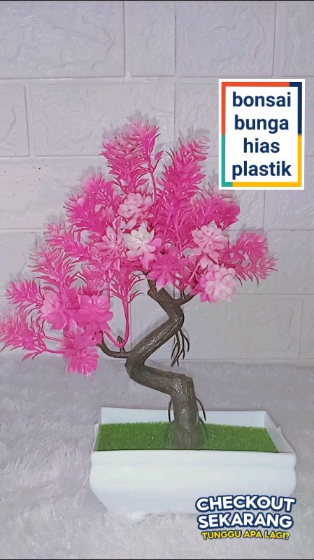 bonsai bunga hias plastik.#bonsai #tanamanhias #bungaplastik #pajangan #RacunShopee #ShopeeCOD #GratisOngkirRP0 #trending #murah #fyp #viral #terlaris