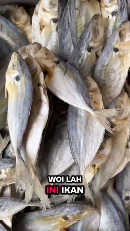 #ikanselar #ikanselarasin #ikanselarmurah #ikanasinmurah #ikanasinviral #ikanasin10ribu #RacunShopee #fyp #ViralDiShopeeVideo #fypシ