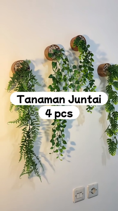 #RacunShopeeCheck #RacunShopee #ViralDiShopeeVideo #GratisOngkirRP0 #SpillRacunShopee #tanamanjuntaipalsu #tanamanjuntaiartificial #tanamanawet