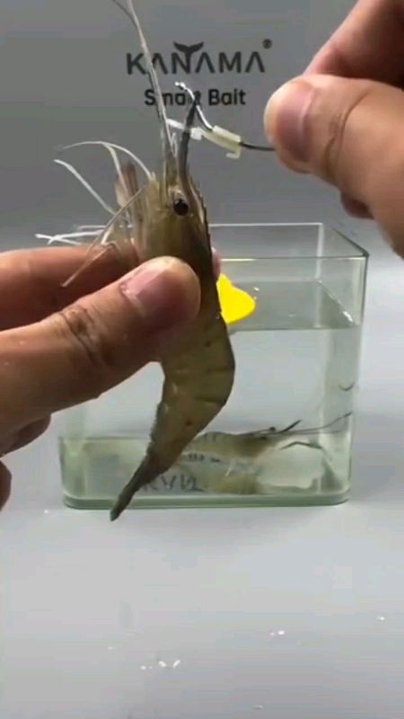 mata kail umpan udang hidup #SpillRacunShopee #ShopeeCOD #DiskonRacunShopee #RacunShopeeCheck #RacunShopeeUnik #RacunShopee