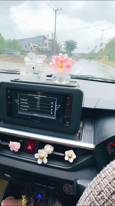 Set hiasan mobil super lucu dan elegant🥰😍 #interiormobil #pajanganmobil #printilanmobil #trending