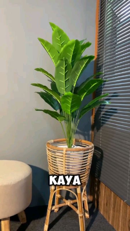 #tanamanplastikmurah #tanamanartificial #bungakering #bungahias #tanamanplastik #potbunga #ViralDiShopeeVideo #RacunShopee #ShopeeCOD #ShopeeLook