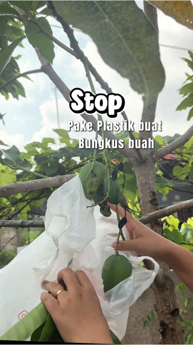 #brongsongbuah #pembungkusbuah #RacunShopee #ViralDiShopeeVideo #Diskon40RB #GratisOngkirRP0