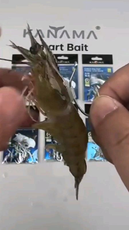 mata kail umpan udang hidup #SpillRacunShopee #ShopeeCOD #DiskonRacunShopee #RacunShopeeCheck #RacunShopeeUnik #RacunShopee