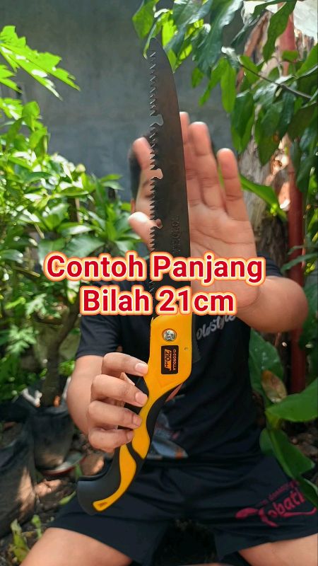 Contoh Panjang 21Cm Gergaji Lipat Corolla #Diskon50Persen #RacunShopeeCheck #spillracunshoppe #ViralDiShopeeVideo #SpillRacunShopeeHaul