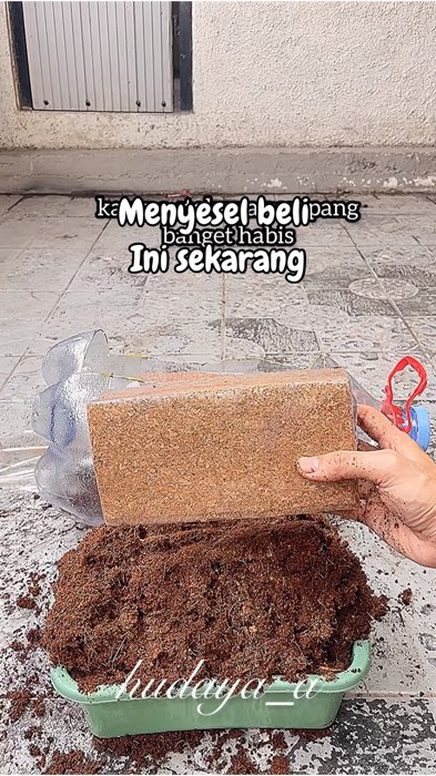 Media tanam terbaik#mediatanam #cocopeat #cocopeatblock #ViralDiShopeeVideo #RacunShopee #ShopeeLook #SpillRacunShopee #RacunShopeeCheck