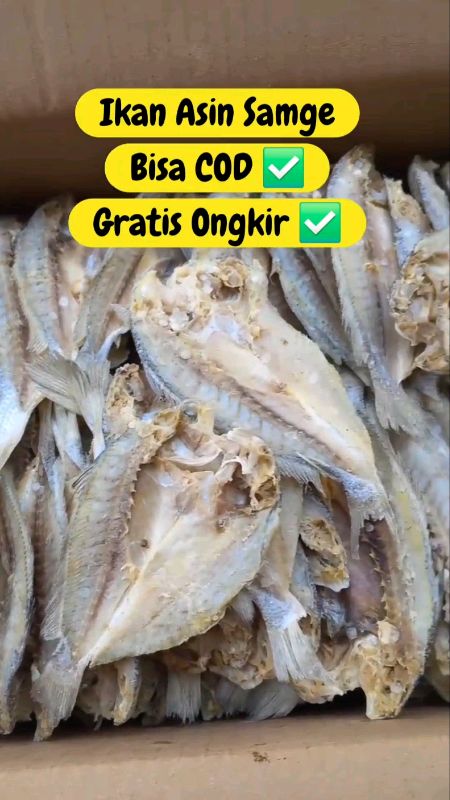 #ikanasinsamge #ikanasinkepalabatu #ikanasinsamgebelah #ikanasinkepalamurah #ikanasingulama #ViralDiShopeeVideo #RacunShopee #fyp #fypdongggggggg