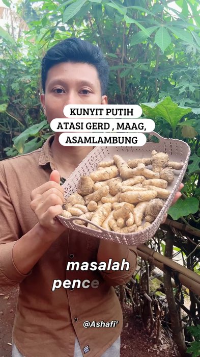 #kunyitputih #kunyitputihsegar #riviewshopee #rekomendasishopee #Diskon50Persen #cekoutsekarang🛍 #fyp