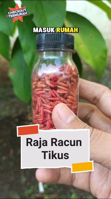 Raja Racun Tikus #RacunShopee #ViralDiShopeeVideo #racuntikusampuh #obattikus #basmitikus #racuntikusmurah #original