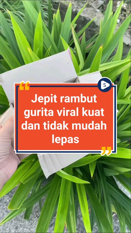 Lagi butuh jepit rambut yang kuat tapi tetap cantik? #jepitanrambut #jepitrambutkorea #jedairambut #jedaiviral #hairclip #cliprambut #fashionwanita