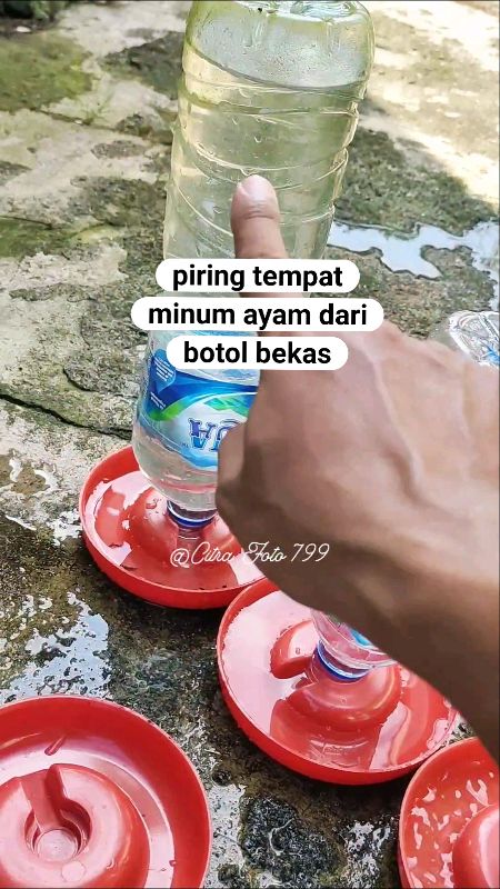 piring tempat minum air dari botol aqua bekas #shopeereveiw #paydaysale #66greatmidyearsale #66shopeefeedday #ShopeeHaul #GratisOngkirRP0 #ShopeeCOD