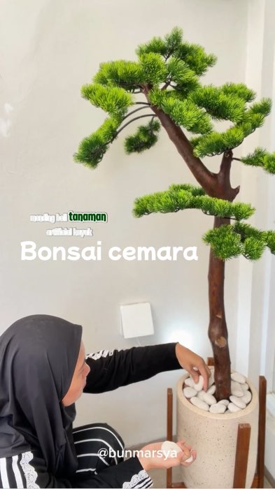 Bonsai cemara udang artificial estetik #GakNyeselBeliIni #tanamanartificial #DiskonRacunShopee #ViralDiShopeeVideo