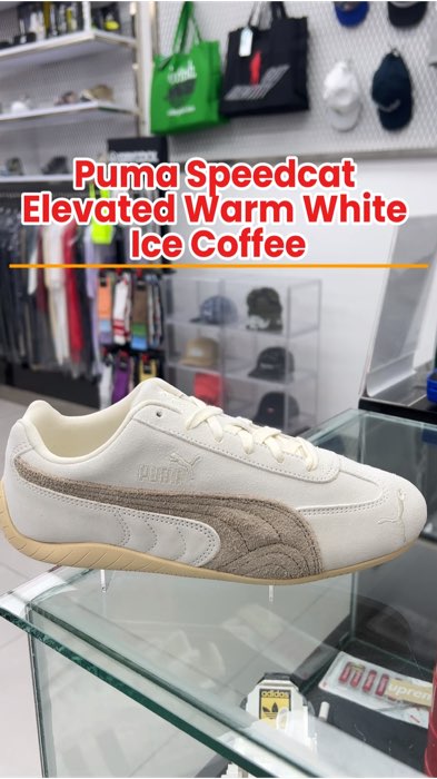 #PumaSpeedcat Elevated Warm White Ice Coffee #puma #ShopeeCOD #ShopeeLook #GratisOngkirRP0 #SpillBawaBerkah #ViralDiShopeeVideo #ShopeeFashionHaul
