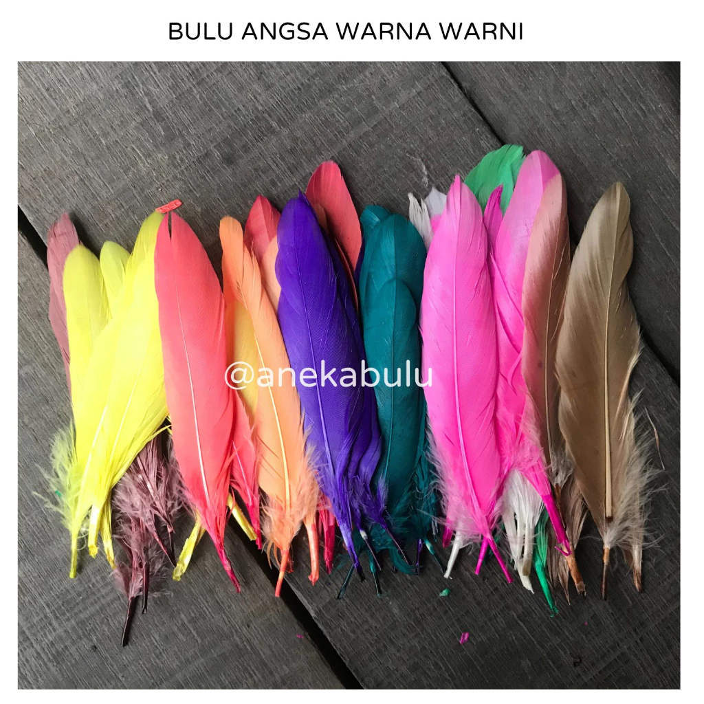 BULU ANGSA AYAM WARNA WARNI HALUS MURAH - BULU AYAM WARNA WARNI HALUS PANJANG MURAH - BAHAN KERAJINAN TANGAN HIASAN AKSESORIS KEPALA GELANG KALUNG - JUAL BULU ANGSA ASLI CEPER BAHAN JUJU HAT LURUS BISA COD BAYAR DITEMPAT BANJARMASIN BANJAR BJM KALSEL