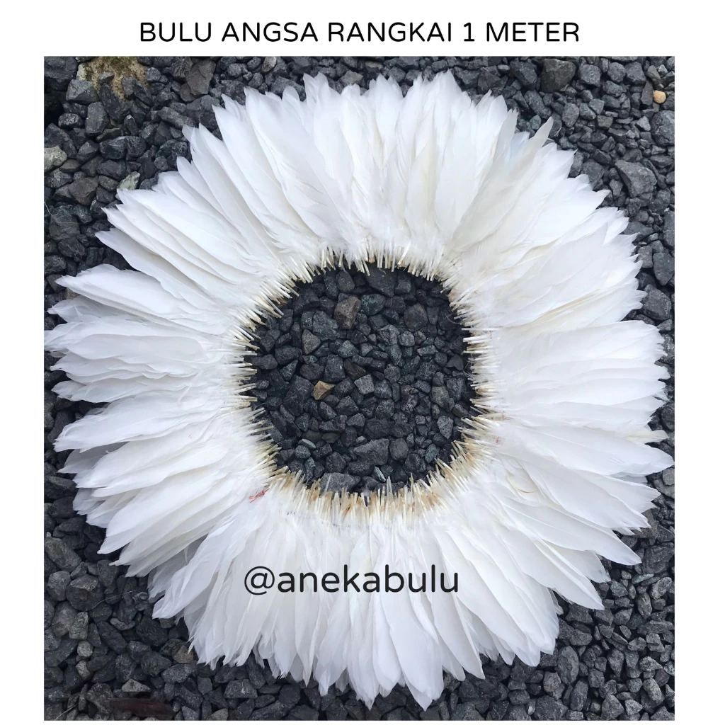 BULU ANGSA RANGKAI BAHAN JUJU HAT MIRROR WARNA PUTIH PANJANG 1 METER - MACRAME WALL DECOR HIASAN DINDING BULU AYAM BEBEK ANGSA- BAHAN DREAM CATHCER PENANGKAP MIMPI MAINAN KUCING BISA COD BAYAR DITEMPAT BANJARMASIN BANJAR KALSEL BJM