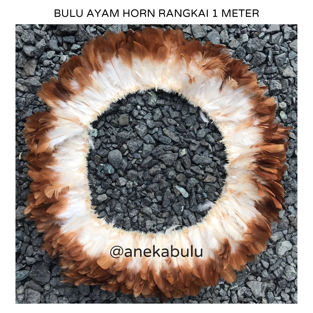 BULU AYAM HORN HALUS PANJANG 1 METER - BULU AYAM BETINA HALUS BAHAN DREAM CATCHER PENANGKAP MIMPI MACRAME MAINAN KUCING - ASKESORIS TOPI ADAT DAYAK KERAJINAN TANGAN BULU AYAM HORN HALUS MURAH GROSIR BISA COD BAYAR DITEMPAT BANJARMASIN BJM KALSEL BANJAR