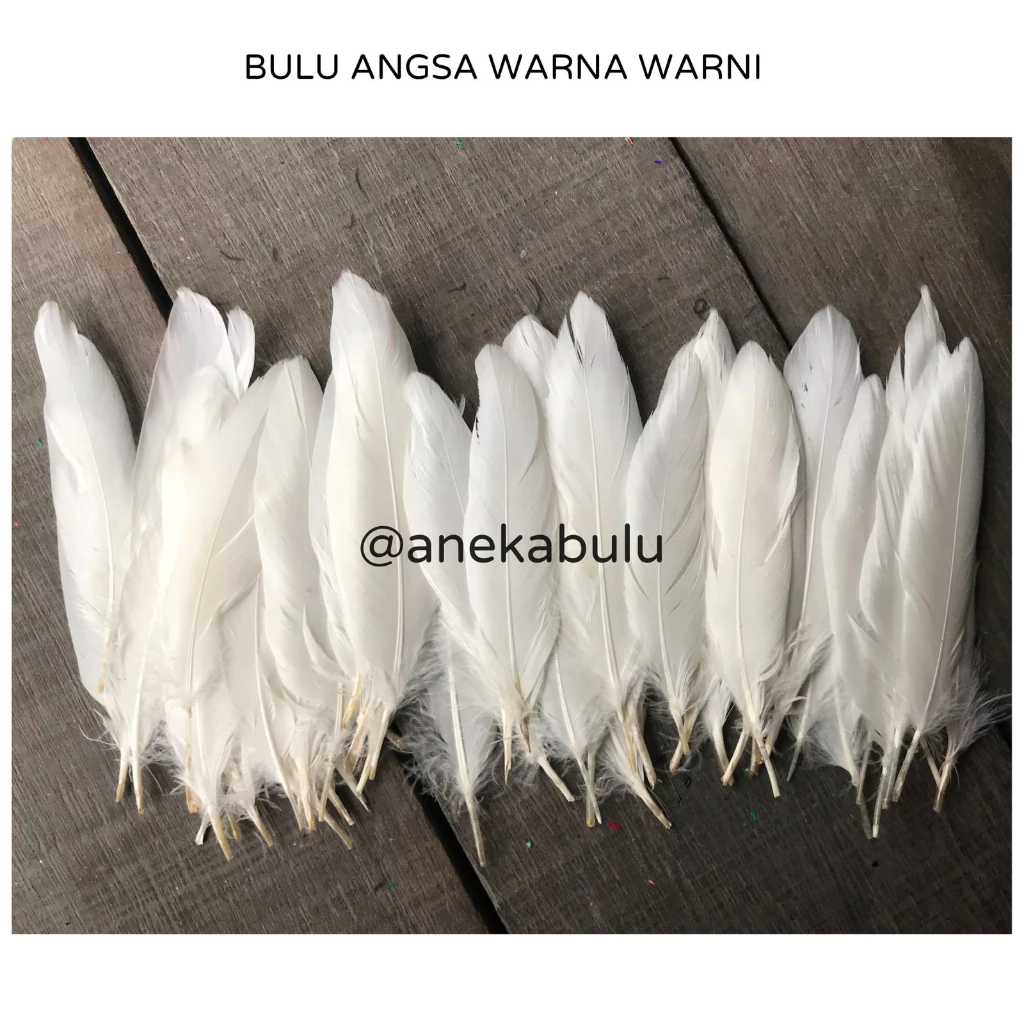 BULU ANGSA UJUNG LANCIP ISI 100 BIJI -  BULU AYAM WARNA WARNI MURAH - BAHAN KERAJINAN TANGAN HIASAN KEPALA GELANG KALUNG DREAM CATCHER PENANGKAP MIMPI - JUAL BULU ANGSA ASLI CEPER LURUS BISA COD BAYAR DITEMPAT BANJARMASIN BJM BANJAR KALSEL