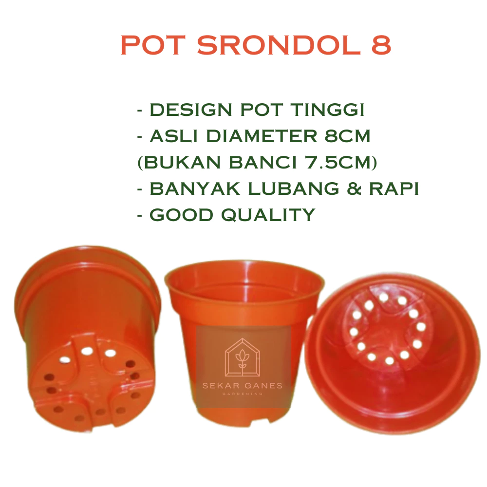 PAKET (5PCS) Pot SRONDOL 8 cm COKLAT MERAH BATA TERACOTA TERRACOTA TERAKOTA Pot Polos Basic Tinggi 8cm Bunga Tanaman Pot Kecil Kaktus Sekulen Cactus Seculen Global Garden of Love GOL Diameter Asli 8cm