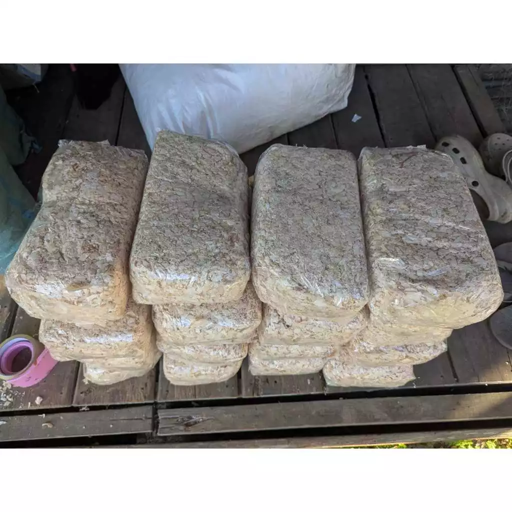 Serbuk kayu  Lembut dan menyerap Aman Untuk Hamster di Banjarmasin Kalimantan Selatan  Pabrik terdahulu Sudah Tutup untuk hamster germil dan hewan lainnya
