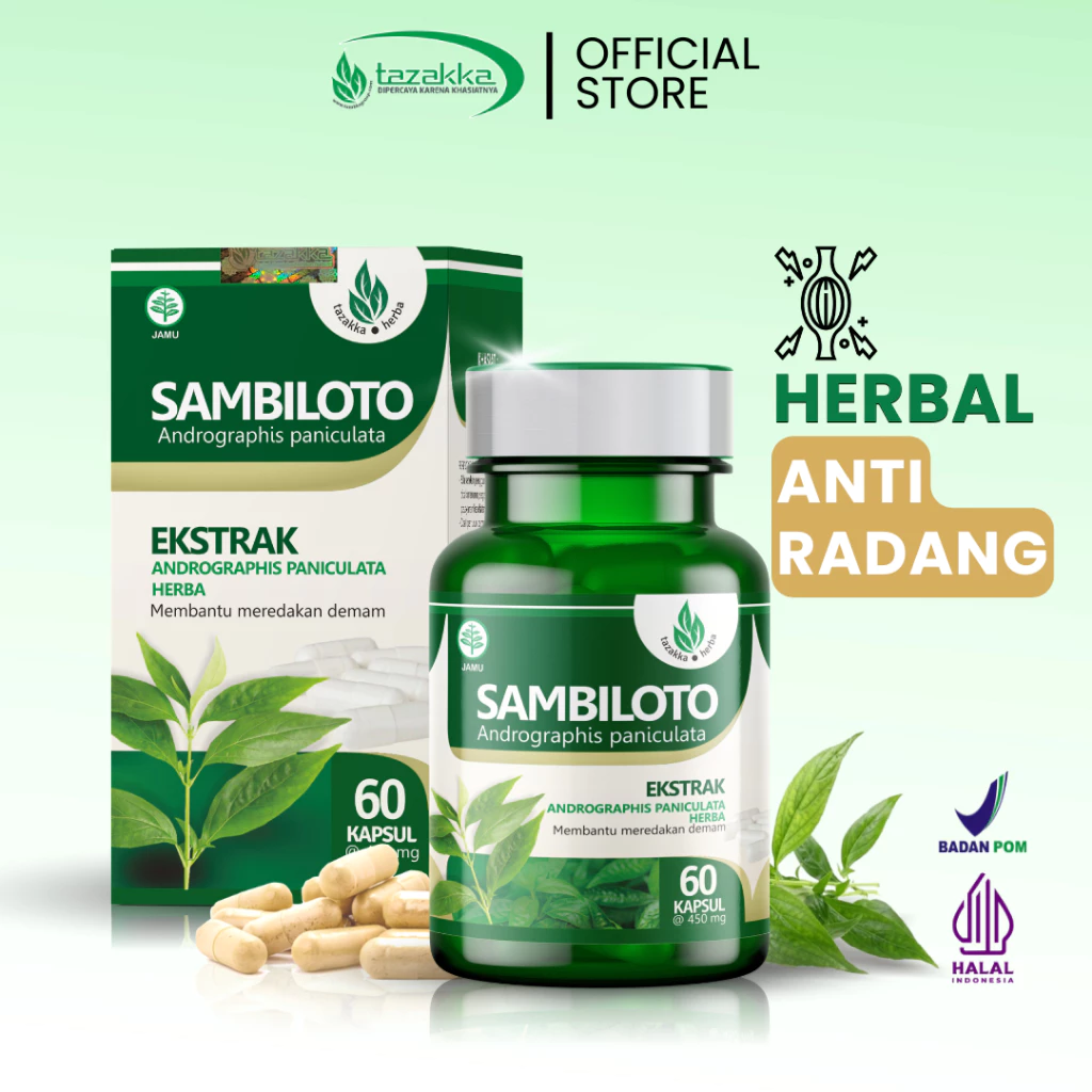 TAZAKKA Ekstrak Kapsul Daun Sambiloto Asli