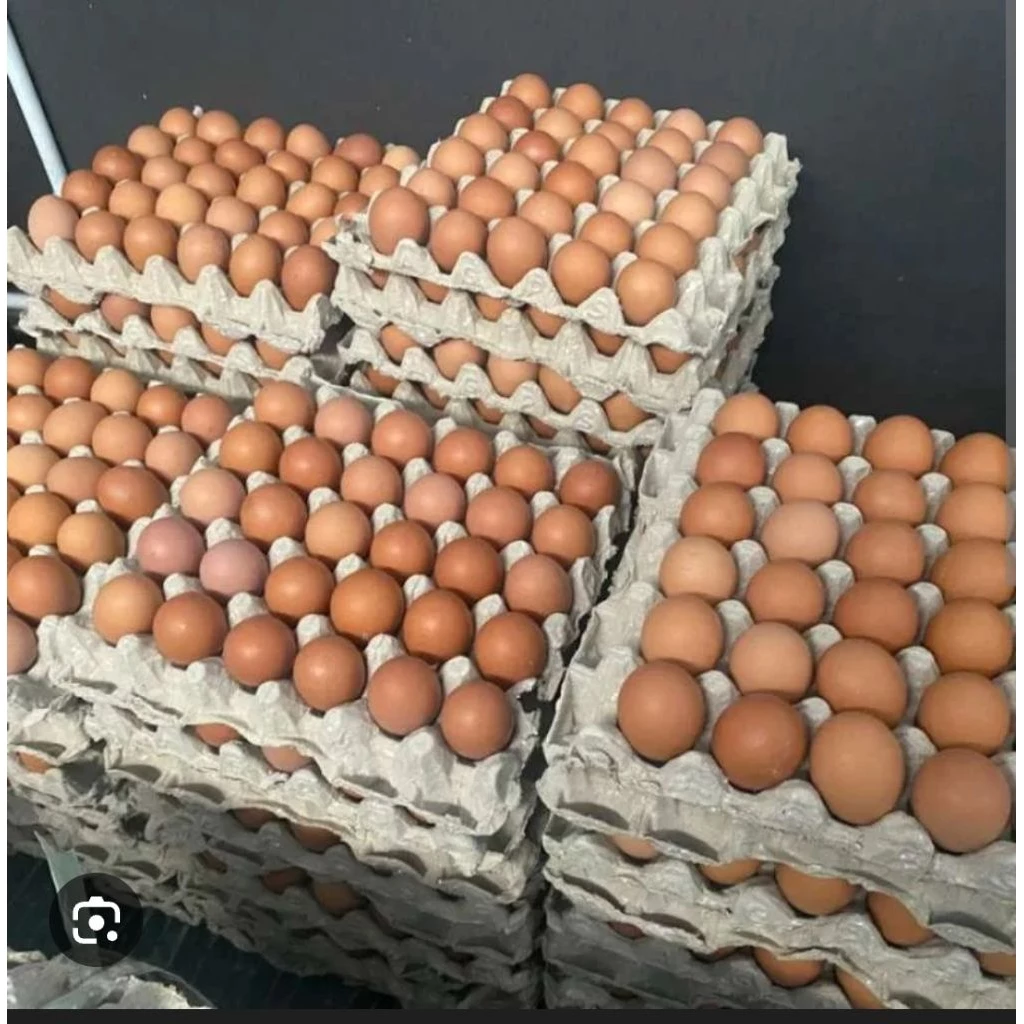 Ready Telor ayam 1kg Banjarmasin langsung kirim hari ini