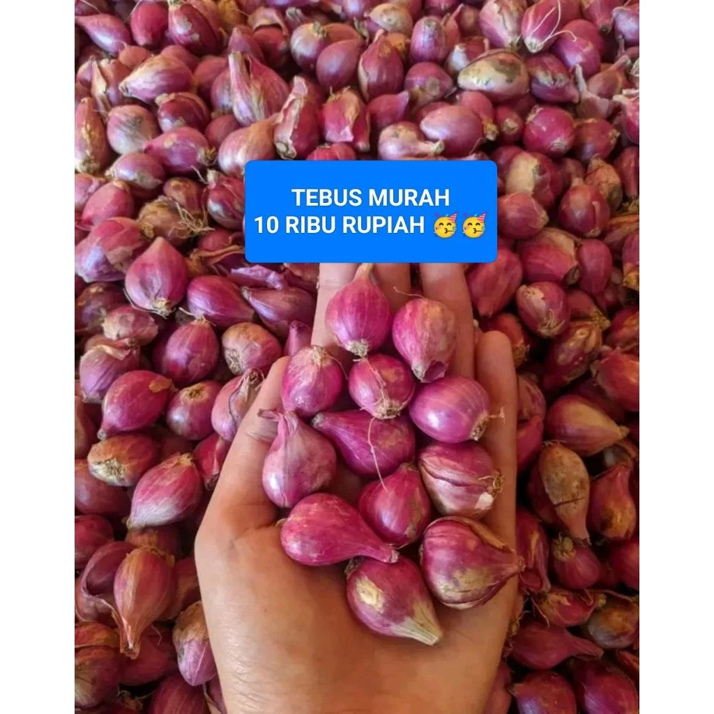 Bawang Merah Murah 1 Kg Lokal Bawang Bumbu Masak
