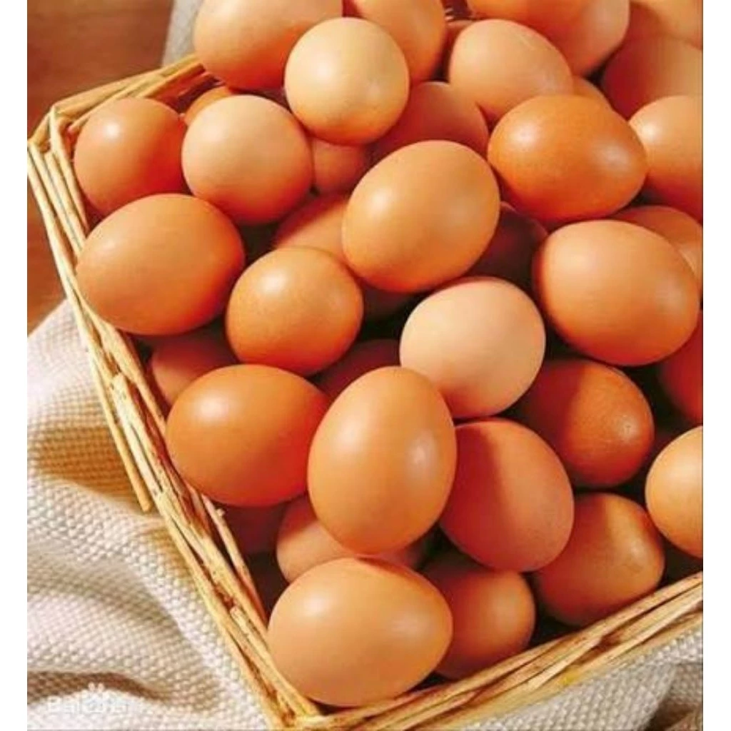 Telur Ayam area BJM, GRATIS tester snack (Fresh dan tepercaya)