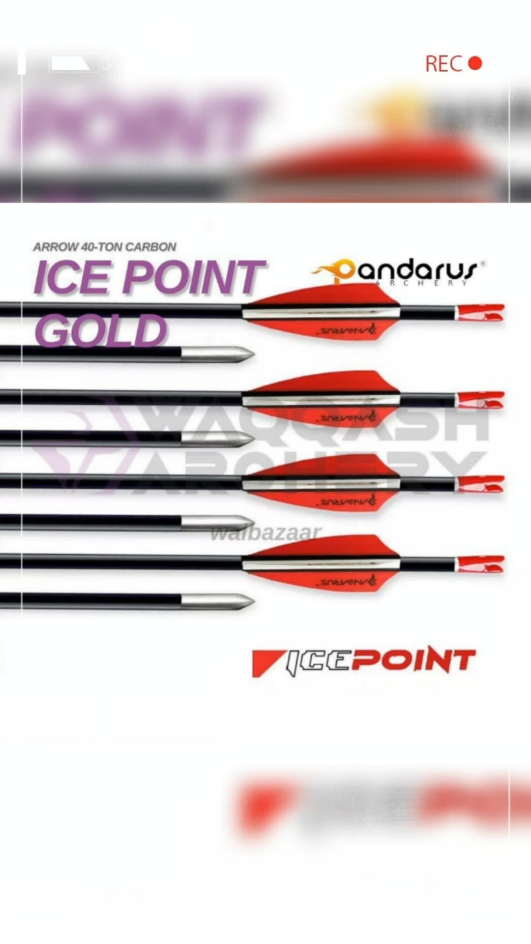 Pandarus Ice Point Gold #pandarus #pandarusicepoint #hewatchaook #hewatchaookkorea #fyp