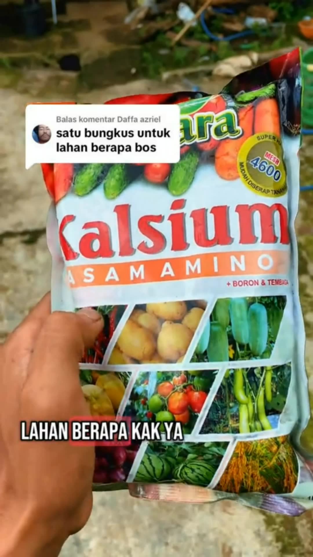 pupuk kalsium untuk tanaman #pupukkalsium #pupuk #pupuktanaman #shopeevideo #RacunShopee #DiskonRacunShopee