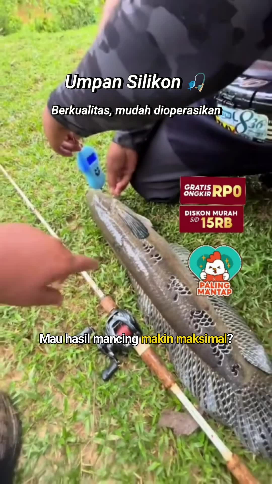 BELI 5 GRATIS 1 UMPAN CASTING SOFTLURE #beli5gratis1 #umpancasting #softlure #umpanpancing #umpanpredator #umpanmancing #castingmania #RacunShopee