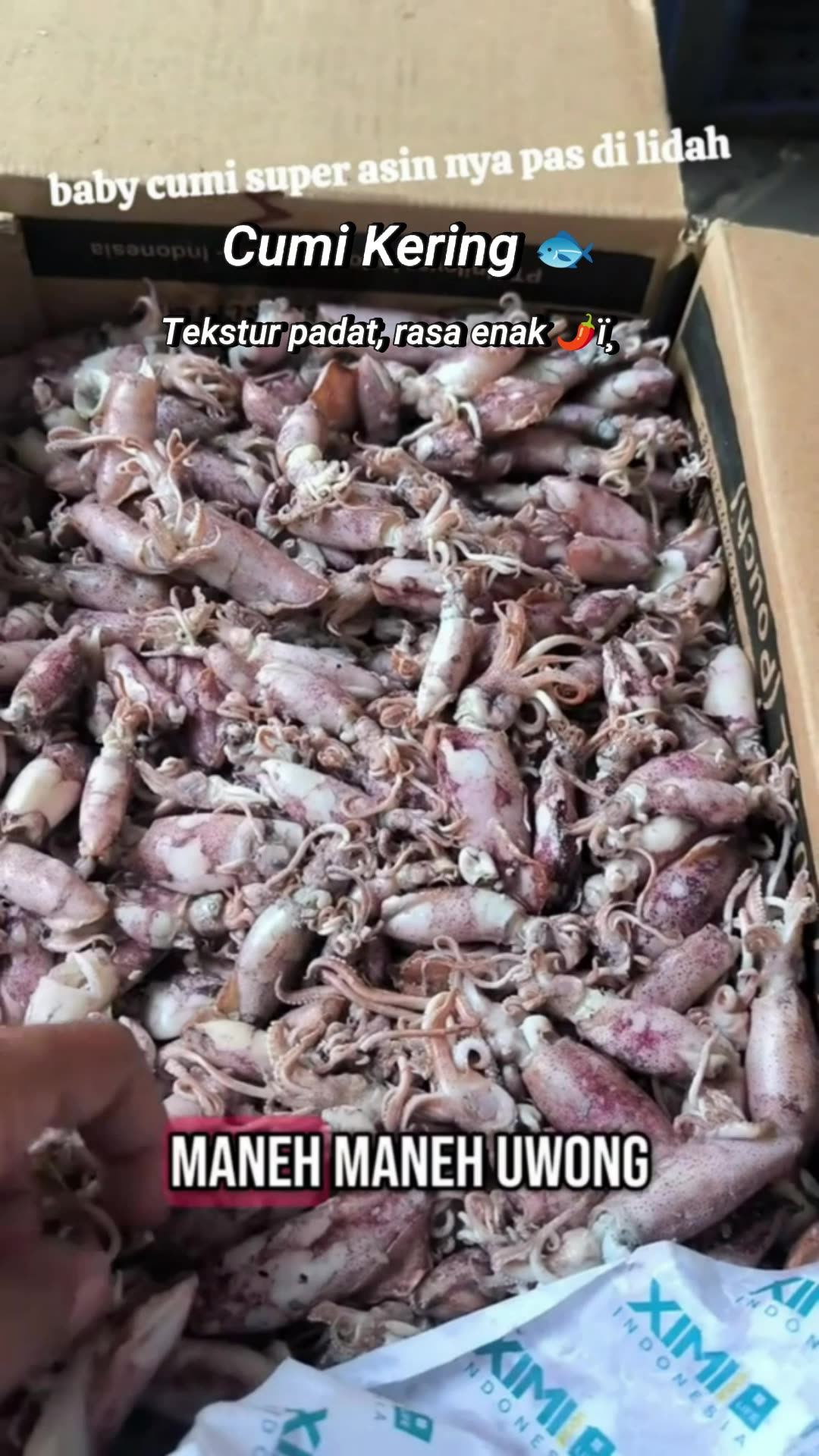 cumi kering,buah samudra yang kaya akan omega 3 #cumikekinian #cumikering #makanan #makananviral